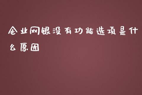 企业网银没有功能选项是什么原因_https://m.qdlswl.com_恒生指数直播喊单_第1张