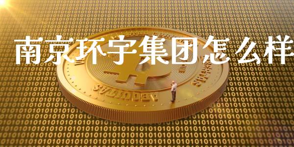 南京环宇集团怎么样_https://m.qdlswl.com_恒指德指直播室_第1张