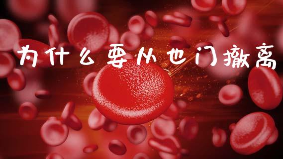 为什么要从也门撤离_https://m.qdlswl.com_恒指德指直播室_第1张