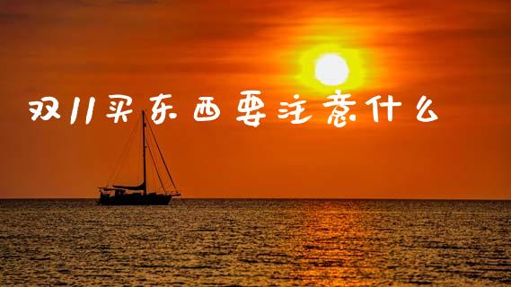 双11买东西要注意什么_https://m.qdlswl.com_恒生指数直播喊单_第1张