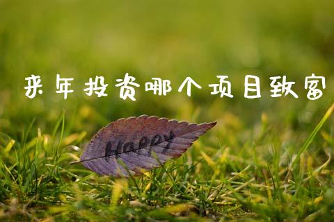 来年投资哪个项目致富_https://m.qdlswl.com_恒指在线直播间_第1张