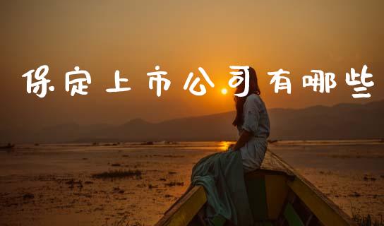 保定上市公司有哪些_https://m.qdlswl.com_纳指直播_第1张