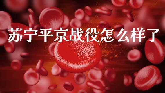苏宁平京战役怎么样了_https://m.qdlswl.com_恒生指数直播喊单_第1张