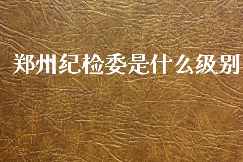 郑州纪检委是什么级别_https://m.qdlswl.com_纳指直播_第1张