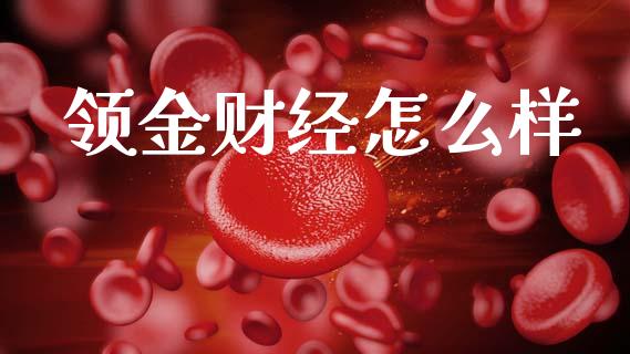 领金财经怎么样_https://m.qdlswl.com_恒指德指直播室_第1张