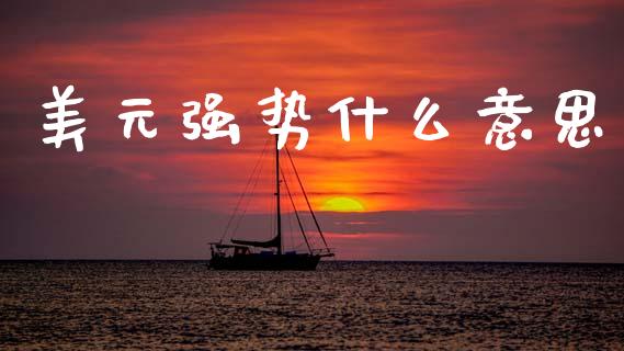 美元强势什么意思_https://m.qdlswl.com_恒指在线直播间_第1张