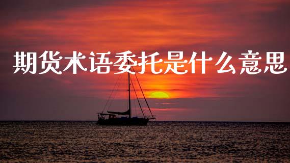 期货术语委托是什么意思_https://m.qdlswl.com_纳指直播_第1张