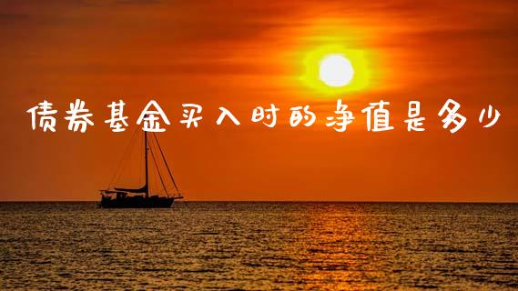 债券基金买入时的净值是多少_https://m.qdlswl.com_恒生指数直播喊单_第1张