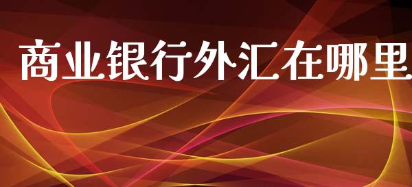 商业银行外汇在哪里_https://m.qdlswl.com_恒指德指直播室_第1张