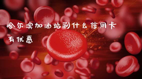 哈尔滨加油站刷什么信用卡有优惠_https://m.qdlswl.com_恒生指数直播喊单_第1张