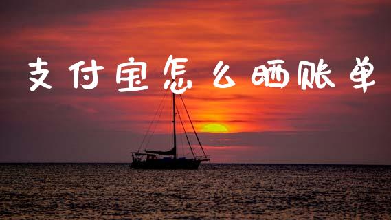 支付宝怎么晒账单_https://m.qdlswl.com_纳指直播_第1张