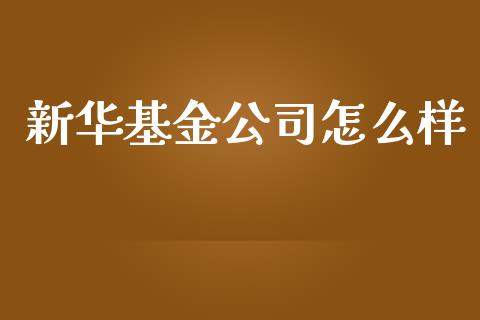 新华基金公司怎么样_https://m.qdlswl.com_纳指直播_第1张