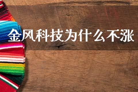 金风科技为什么不涨_https://m.qdlswl.com_恒生指数直播喊单_第1张