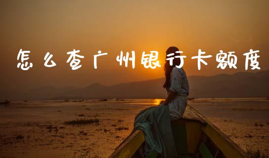 怎么查广州银行卡额度_https://m.qdlswl.com_纳指直播_第1张
