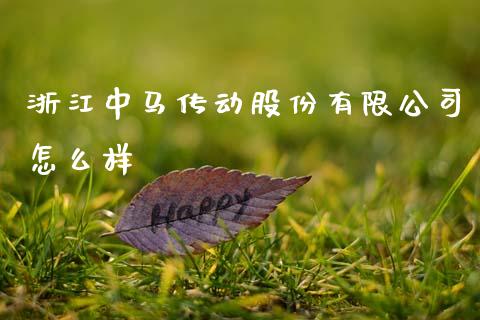 浙江中马传动股份有限公司怎么样_https://m.qdlswl.com_纳指直播_第1张