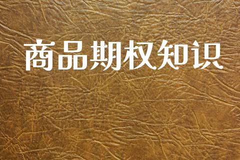 商品期权知识_https://m.qdlswl.com_恒指在线直播间_第1张