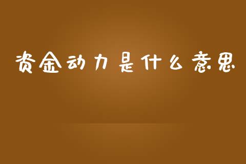 资金动力是什么意思_https://m.qdlswl.com_恒生指数直播喊单_第1张