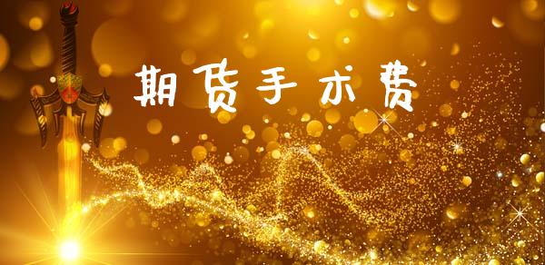 期货手术费_https://m.qdlswl.com_恒生指数直播喊单_第1张