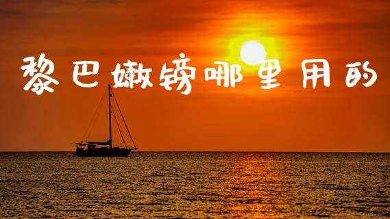黎巴嫩镑哪里用的_https://m.qdlswl.com_恒生指数直播喊单_第1张