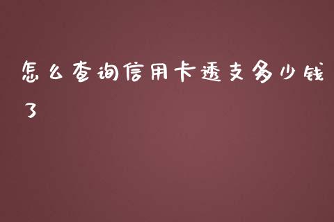怎么查询信用卡透支多少钱了_https://m.qdlswl.com_恒指德指直播室_第1张