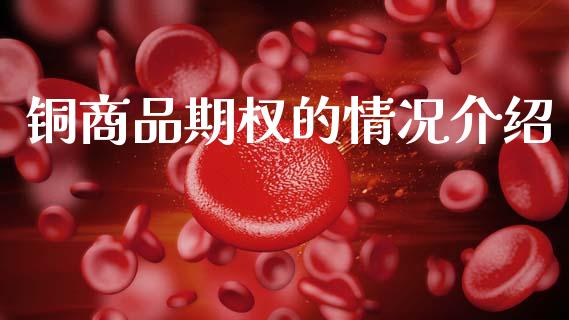 铜商品期权的情况介绍_https://m.qdlswl.com_恒指在线直播间_第1张