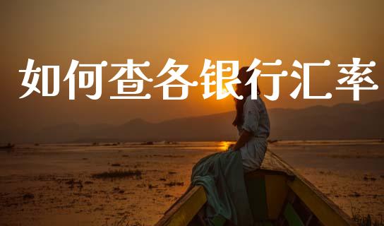如何查各银行汇率_https://m.qdlswl.com_恒指德指直播室_第1张