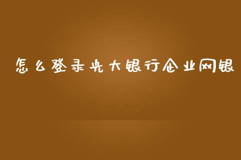 怎么登录光大银行企业网银_https://m.qdlswl.com_纳指直播_第1张