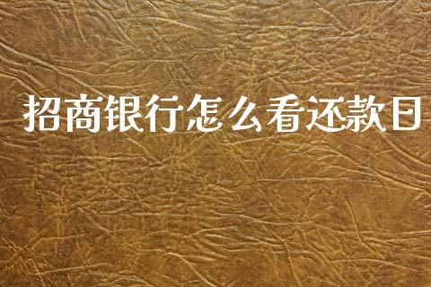 招商银行怎么看还款日_https://m.qdlswl.com_恒指德指直播室_第1张