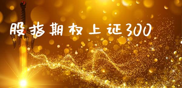 股指期权上证300_https://m.qdlswl.com_恒生指数直播喊单_第1张