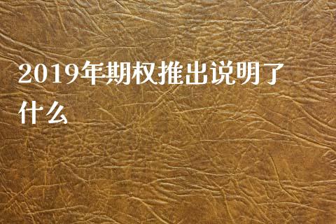 2019年期权推出说明了什么_https://m.qdlswl.com_恒指在线直播间_第1张