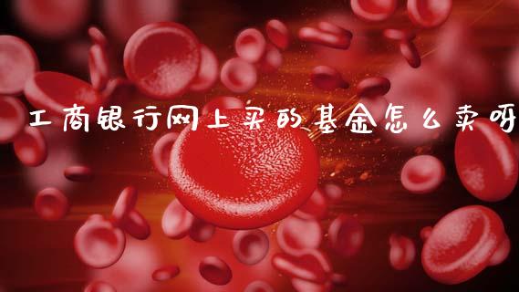工商银行网上买的基金怎么卖呀_https://m.qdlswl.com_纳指直播_第1张