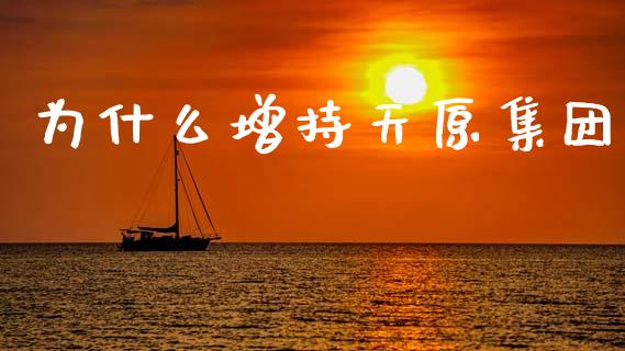 为什么增持天原集团_https://m.qdlswl.com_恒生指数直播喊单_第1张
