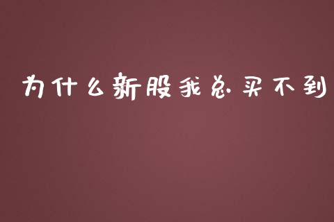 为什么新股我总买不到_https://m.qdlswl.com_恒生指数直播喊单_第1张