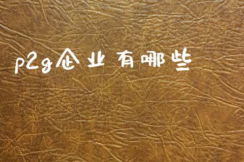 p2g企业有哪些_https://m.qdlswl.com_恒指在线直播间_第1张