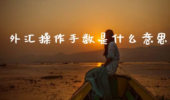 外汇操作手数是什么意思_https://m.qdlswl.com_恒指在线直播间_第1张