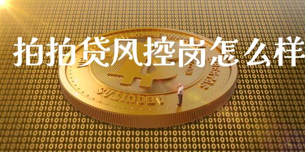 拍拍贷风控岗怎么样_https://m.qdlswl.com_恒生指数直播喊单_第1张