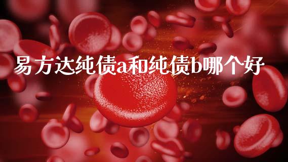 易方达纯债a和纯债b哪个好_https://m.qdlswl.com_恒指德指直播室_第1张
