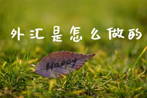 外汇是怎么做的_https://m.qdlswl.com_恒指德指直播室_第1张