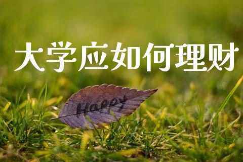 大学应如何理财_https://m.qdlswl.com_恒生指数直播喊单_第1张