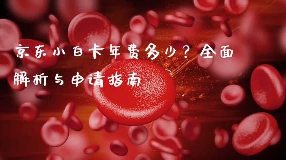 京东小白卡年费多少？全面解析与申请指南_https://m.qdlswl.com_纳指直播_第1张