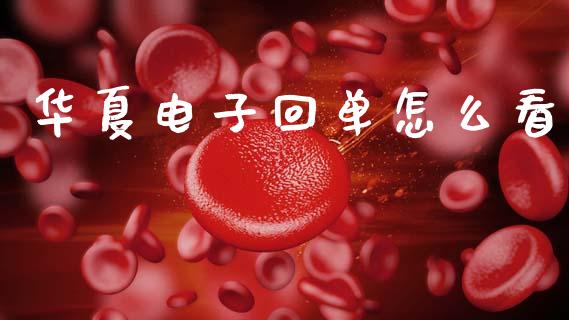 华夏电子回单怎么看_https://m.qdlswl.com_恒指德指直播室_第1张