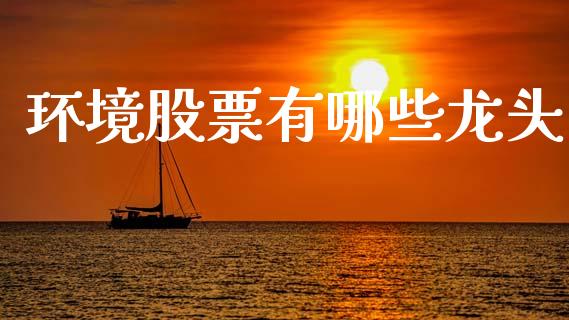 环境股票有哪些龙头_https://m.qdlswl.com_恒生指数直播喊单_第1张