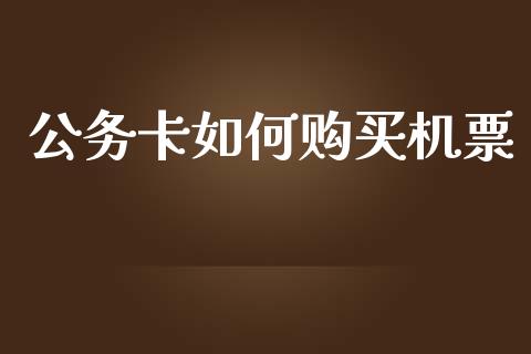 公务卡如何购买机票_https://m.qdlswl.com_恒生指数直播喊单_第1张