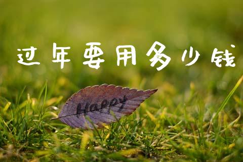 过年要用多少钱_https://m.qdlswl.com_恒指在线直播间_第1张
