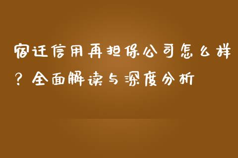 宿迁信用再担保公司怎么样？全面解读与深度分析_https://m.qdlswl.com_恒生指数直播喊单_第1张