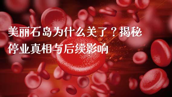 美丽石岛为什么关了？揭秘停业真相与后续影响_https://m.qdlswl.com_纳指直播_第1张