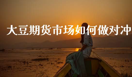大豆期货市场如何做对冲_https://m.qdlswl.com_恒指德指直播室_第1张