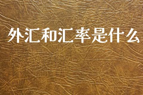 外汇和汇率是什么_https://m.qdlswl.com_恒指在线直播间_第1张