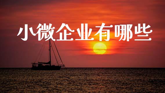 小微企业有哪些_https://m.qdlswl.com_恒指德指直播室_第1张