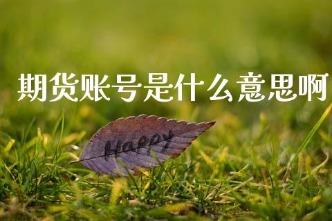 期货账号是什么意思啊_https://m.qdlswl.com_恒生指数直播喊单_第1张